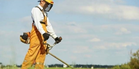 Što je bolje odabrati plinski trimer